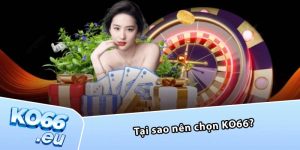 Tại sao nên chọn KO66?